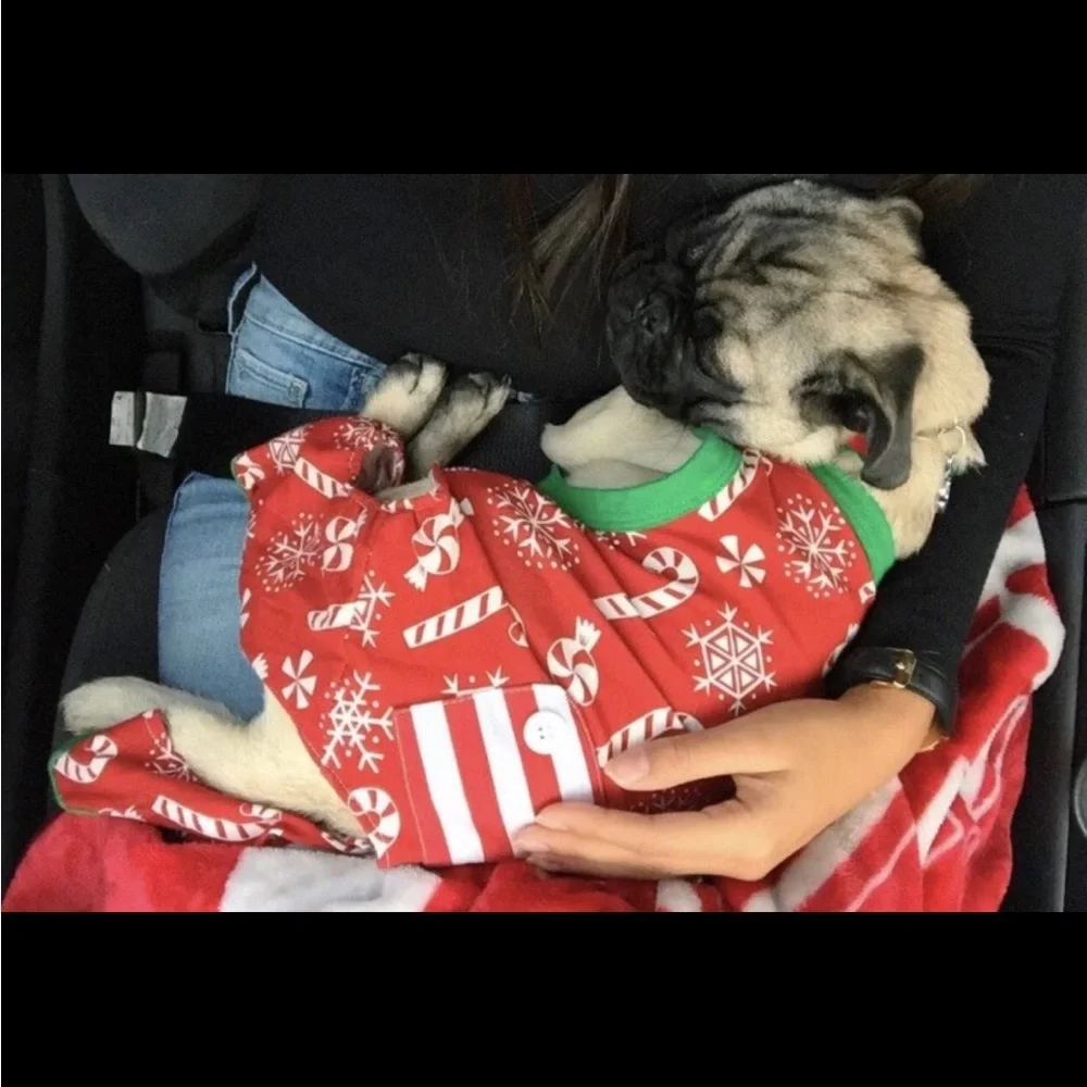 Small dog Christmas pajamas